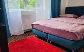 Apartament Cochet Cozy Gara De Nord Metrou